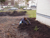 Installing more plants.