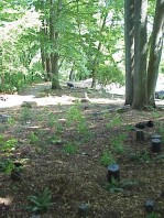 Views of the freshly completed installation.