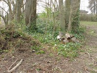 The site prior to rehabilitation.