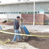 Building raised planting mounds in the big bed.
