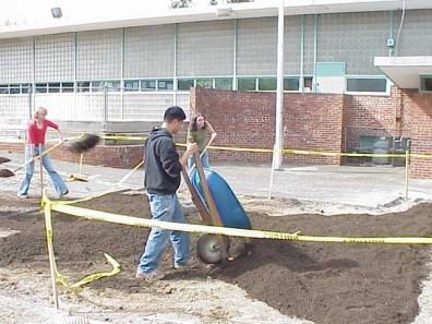 Building raised planting mounds in the big bed.