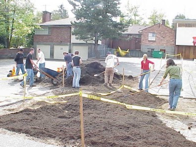 Building raised planting mounds in the big bed.