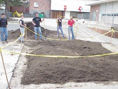 Building raised planting mounds in the big bed.