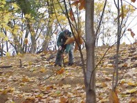 Preparing and installing stakes to keep the terracing materials in place.
