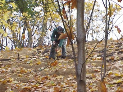 Preparing and installing stakes to keep the terracing materials in place.