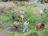 Testing water depth.