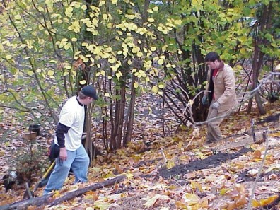 Moving and installing woody debris and terracing material.