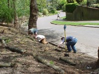 Terracing the hillside to stabilize the slope and limit erosion.