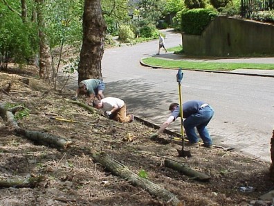 Terracing the hillside to stabilize the slope and limit erosion.