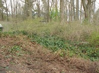 The site prior to rehabilitation.