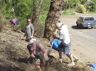 Cutting stumps of removed shrubs to the ground. The roots will be left to hold the soil in place.