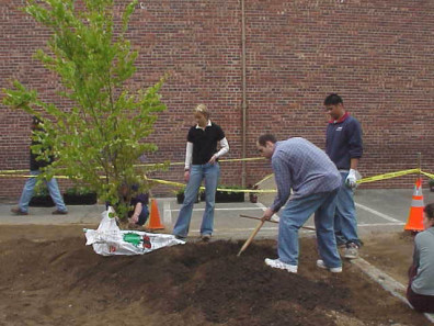 Preparing a hole for the katsura.