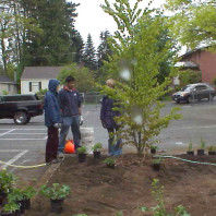 Discussing the best plant layout.