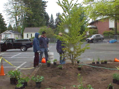 Discussing the best plant layout.