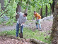 Burning and ripping out turf to kill it before mulching the area.
