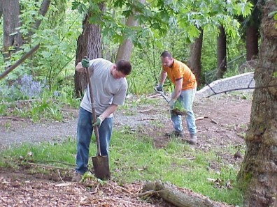 Burning and ripping out turf to kill it before mulching the area.