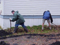 Removing weeds to prepare the site for a planting mound.