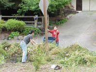 The weed pile; evidence of a hard day's work.
