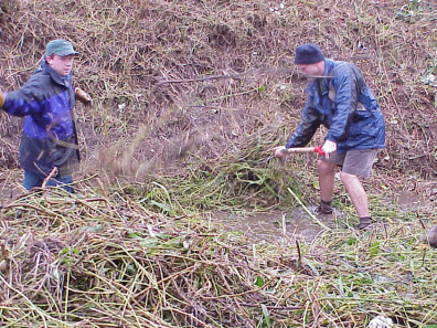 Removing weeds from the site.
