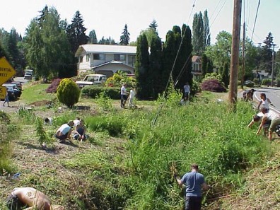Weeding the upland part of the site.