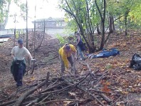 Selecting woody debris to create terraces.