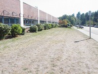 The site prior to restoration.