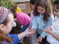 A gift from the garden.