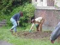 Installing and mulching plants.