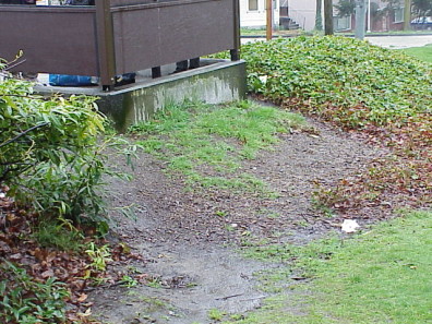 The beds around the bus stop prior to renovation.