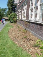 The finished product.