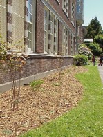 The finished product.