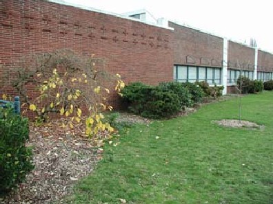 The planting beds one year after installation and cleanup.