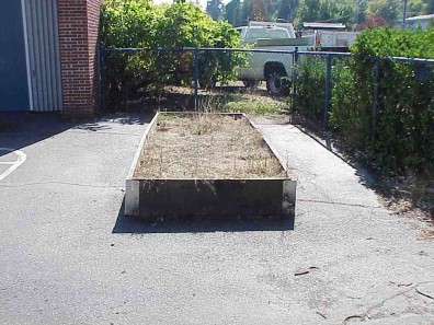 The raised bed prior to rehabilitation and replanting.