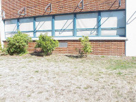 The site prior to restoration.