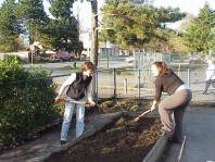 Cleaning up the raised beds in preparation for new plantings.