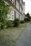 The planting bed along the school prior to renovation.