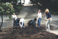 Horsetail removal and soil preparation (May 6, 1999).