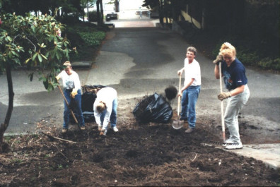 Horsetail removal and soil preparation (May 6, 1999).