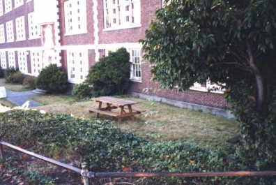 The site prior to renovation (upper terrace).