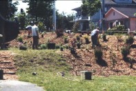 Installing plants in the new garden.