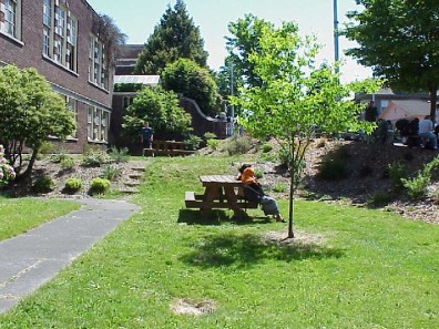 The Evolution Garden one year after renovation.