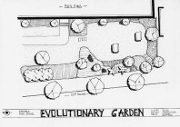 Site 1 Theme: Evolution Garden