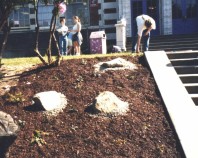 The finished product, lower stairs (May 27, 1999).