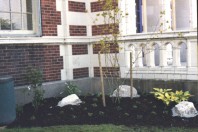 The finished product, upper stairs (May 27, 1999).