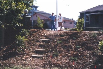 The finished Evolution Garden (view from below).