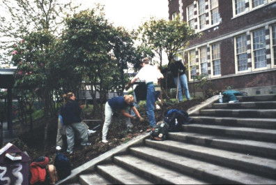Ivy root removal and soil preparation (May 6, 1999).