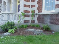 The site one year after renovation (March 2000)..