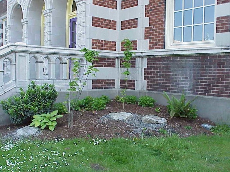 The site one year after renovation (March 2000)..