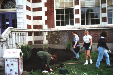 Installation of Acer circinatum (May 20, 1999).