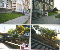 Landscape conditions at north entrance prior to renovation.